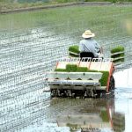 Persiapan Petani Menghadapi Musim Tanam agar Lebih Terencana