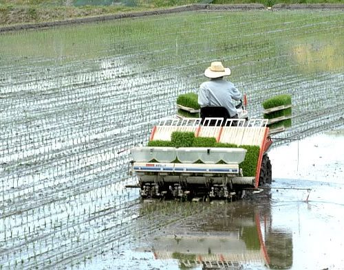 Persiapan Petani Menghadapi Musim Tanam