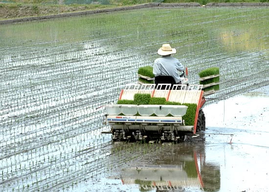 Persiapan Petani Menghadapi Musim Tanam